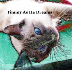 Timmy As He Dreams book cover