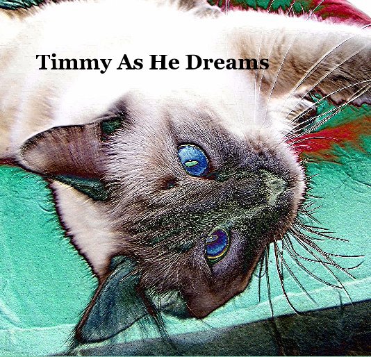 View Timmy As He Dreams by LYDIA