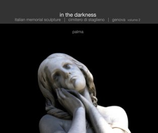 In The Darkness book cover