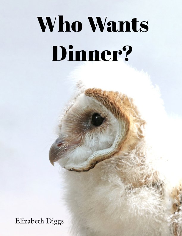 View Who Wants Dinner by Elizabeth Diggs