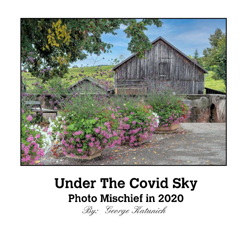 View Under the Covid Sky by George Katunich