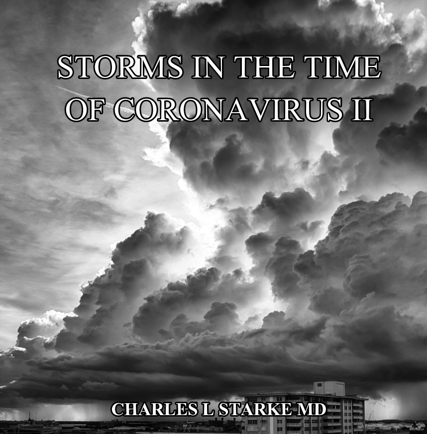 View Storms in the Time of Coronavirus II by Charles L Starke MD