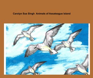 Watercolors V1:  Animals of Chincoteague National Wildlife Refuge, Assateague Island, Virginia book cover