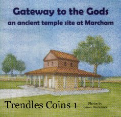 Trendles Coins 1 book cover