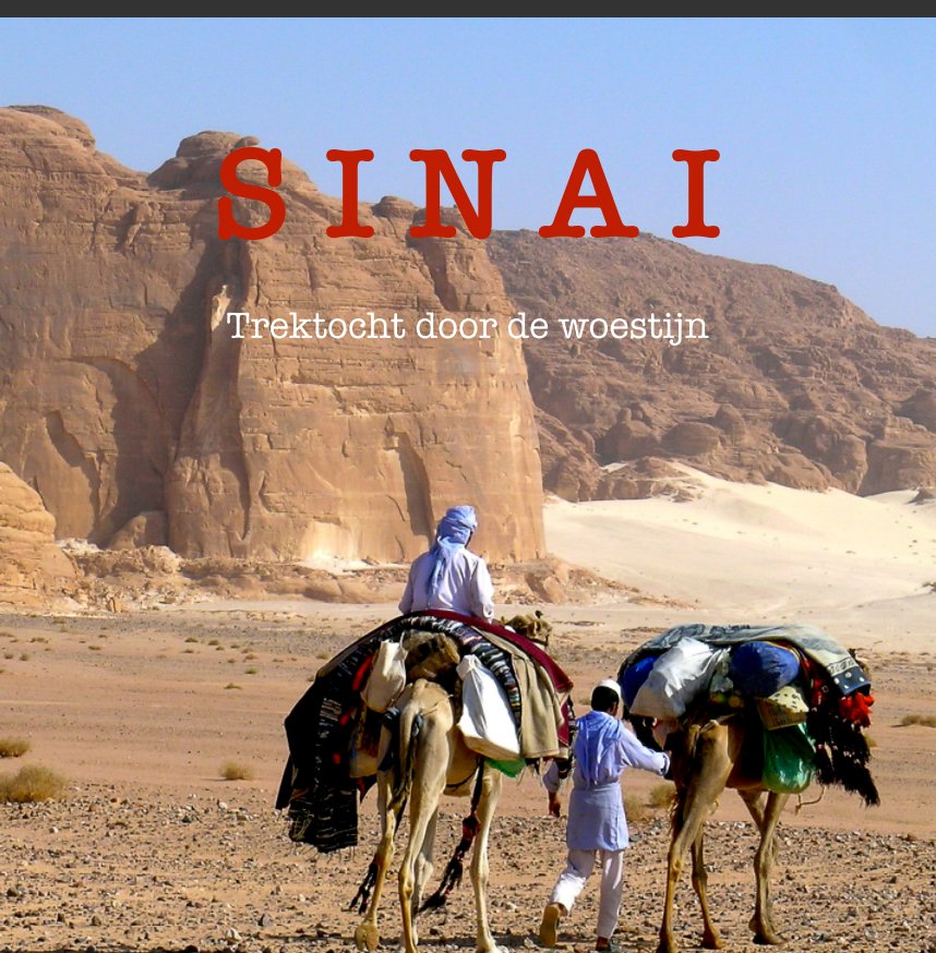 View Sinai by René Sutter