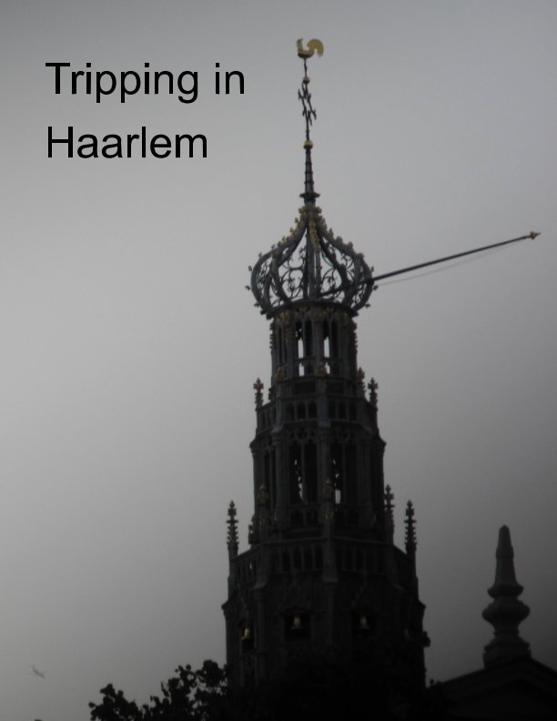 View Tripping in Haarlem by Therios Nakis