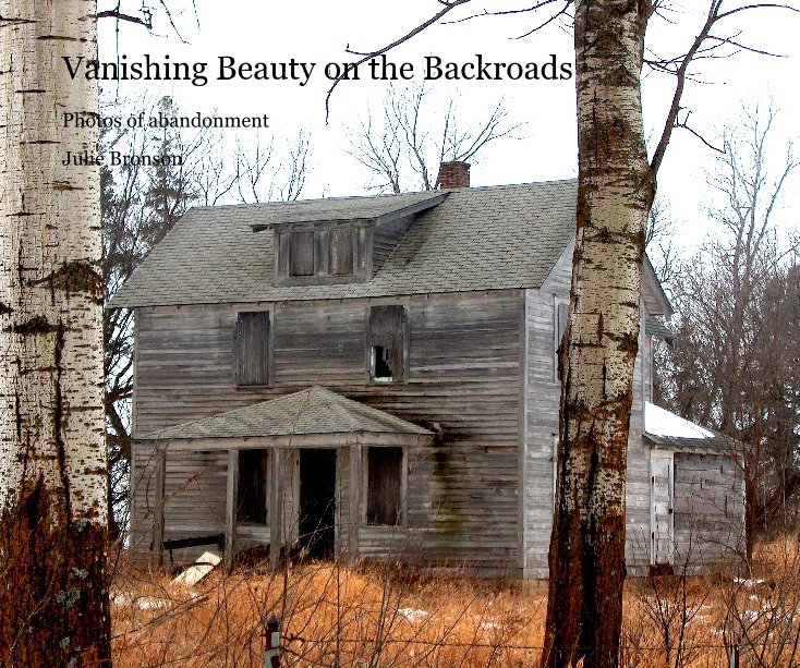 View Vanishing Beauty on the Backroads by Julie Bronson
