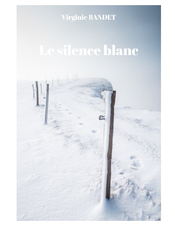 View Le silence blanc by Virginie Bandet