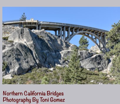 Northern California Bridges book cover