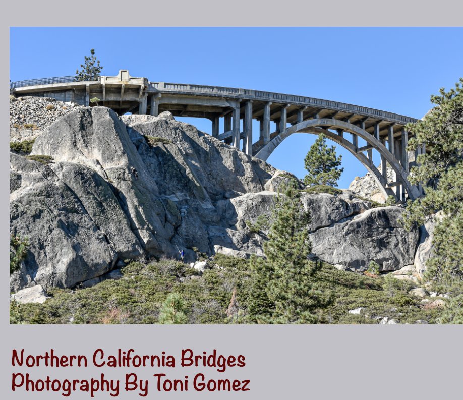 View Northern California Bridges by Toni Colleen Gomez