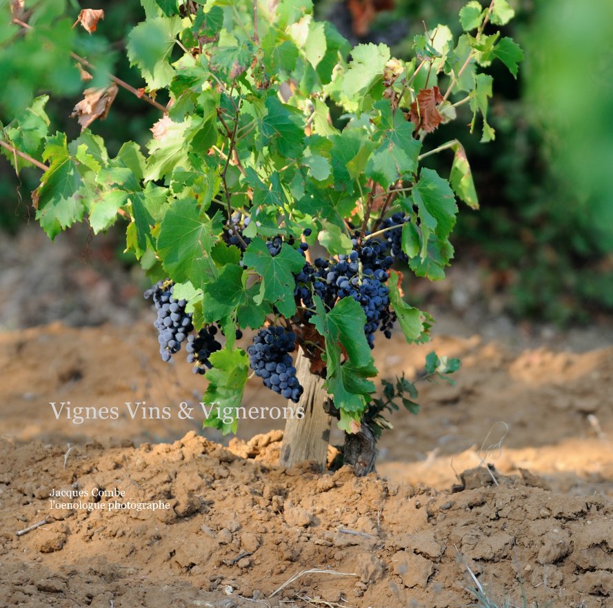 Ver Vignes Vins & Vignerons por Jacques Combe