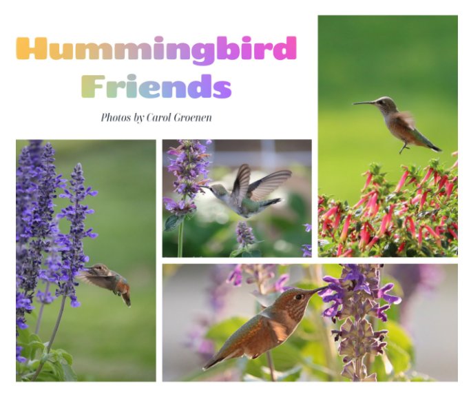 View Hummingbird Friends by Carol Groenen