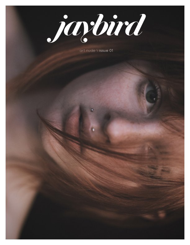 Ver Jaybird Issue 01 por Sean Forsythe