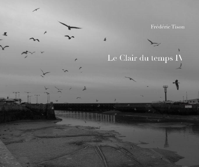 View Le Clair du temps IV by Frédéric Tison