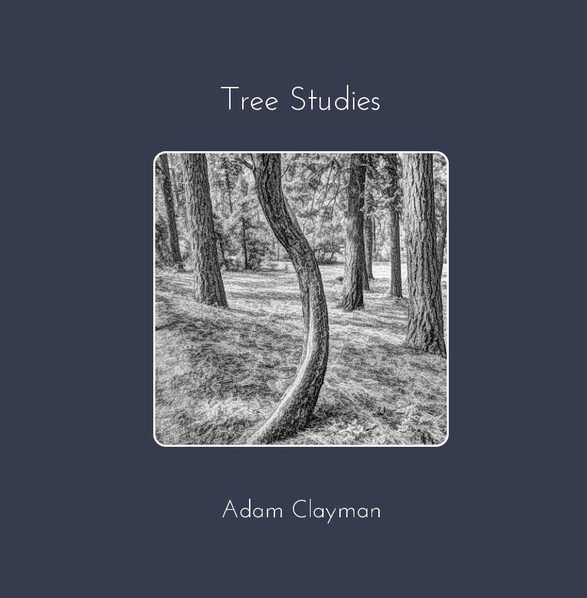 Tree Studies - 2020 nach Adam Clayman anzeigen