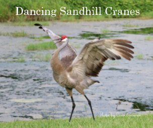Dancing Sandhill Cranes book cover