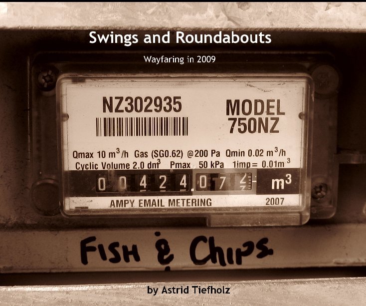 View Swings and Roundabouts by Astrid Tiefholz