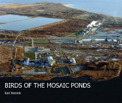 BIRDS OF THE MOSAIC PONDS book cover