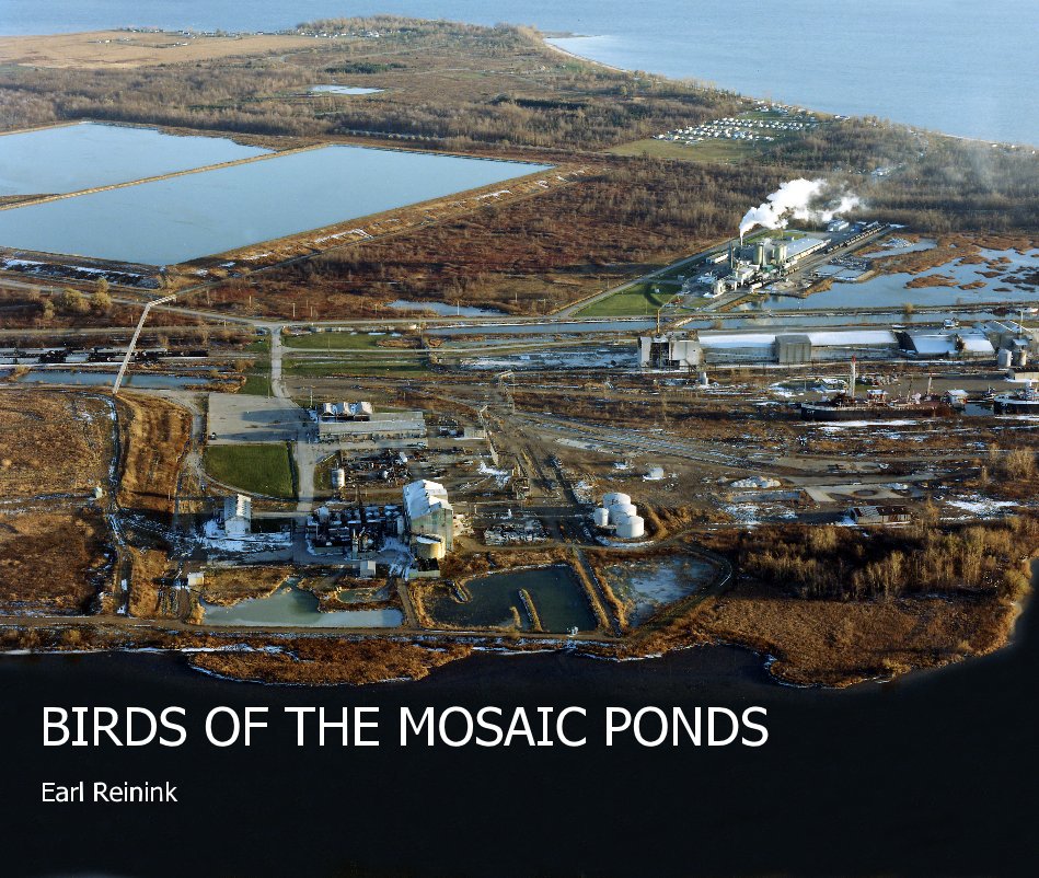 View BIRDS OF THE MOSAIC PONDS by Earl Reinink