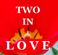 Two In Love with Beauty book cover