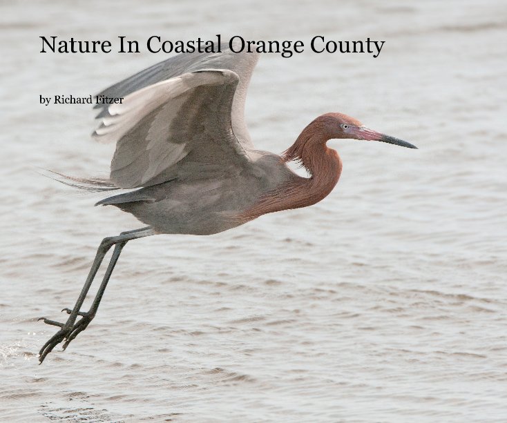 View Nature In Coastal Orange County by Richard Fitzer