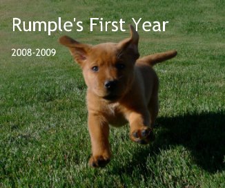 Rumple's First Year 2008-2009 book cover