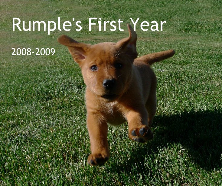 Ver Rumple's First Year 2008-2009 por Kolin Powick