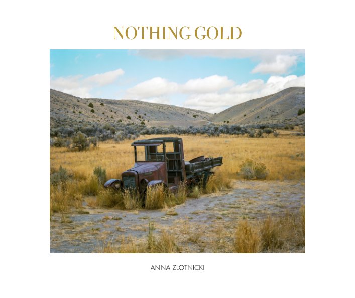 View Nothing Gold (Fine Art Edition) by Anna Zlotnicki