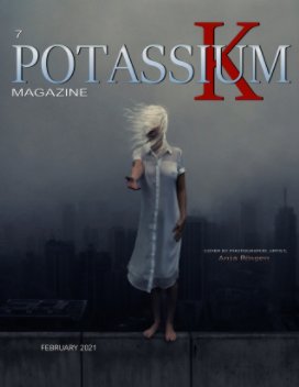 Potassium Magazine  7 book cover