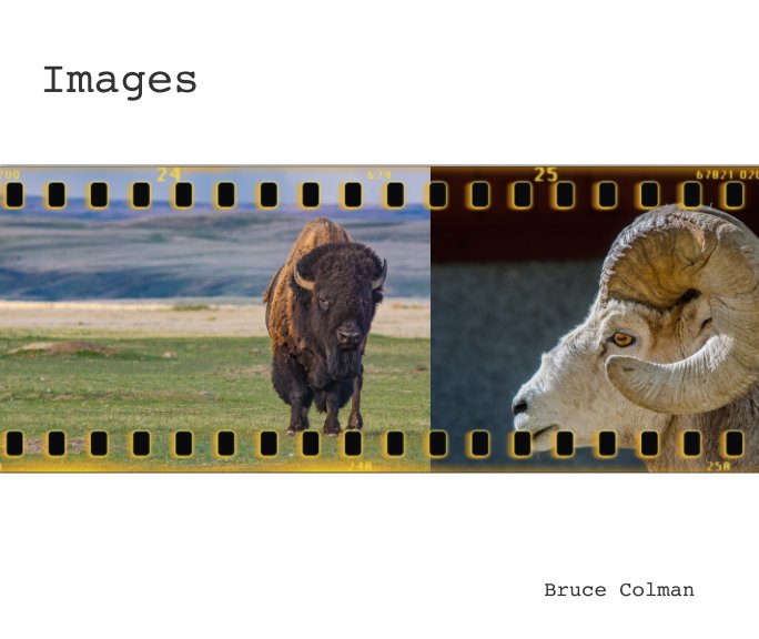 View Images by Bruce Colman