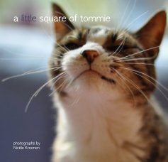 a little square of tommie book cover