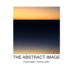 The Abstract Image book cover