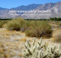 Immeasurable Growth book cover