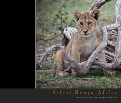 Safari.Kenya.Africa book cover