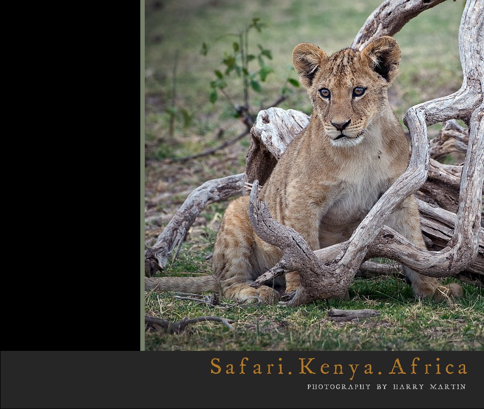 View Safari.Kenya.Africa by Harry Martin