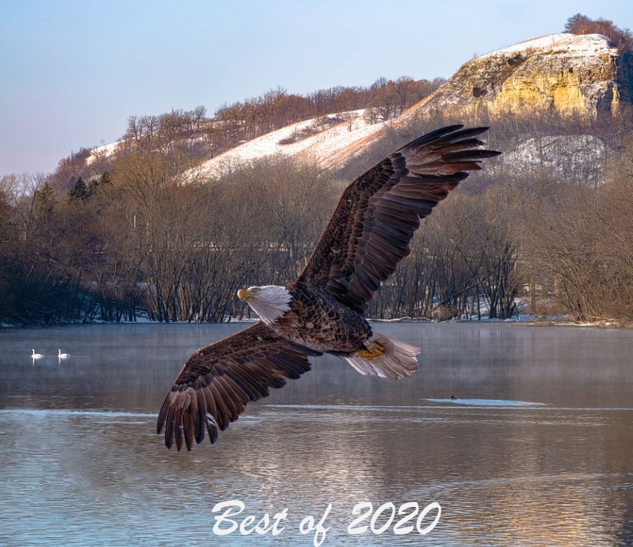 View Best of 2020 by Don Roos