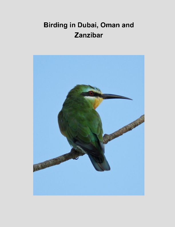 Ver Birding in Dubai, Oman and Zanzibar por Philippe Lenoir