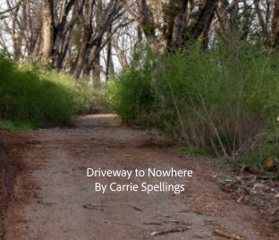 Driveways to nowhere book cover