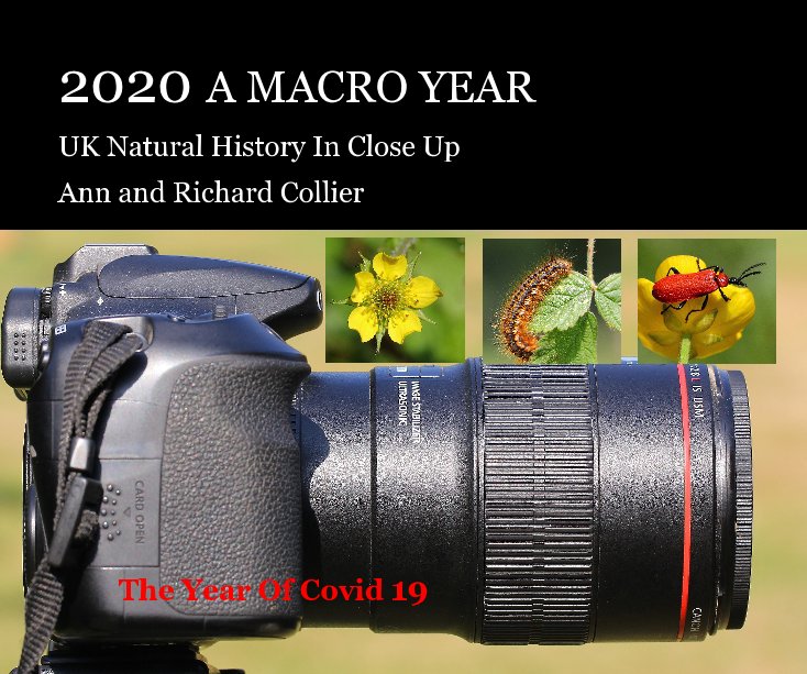 View 2020 A Macro Year by Ann and Richard Collier