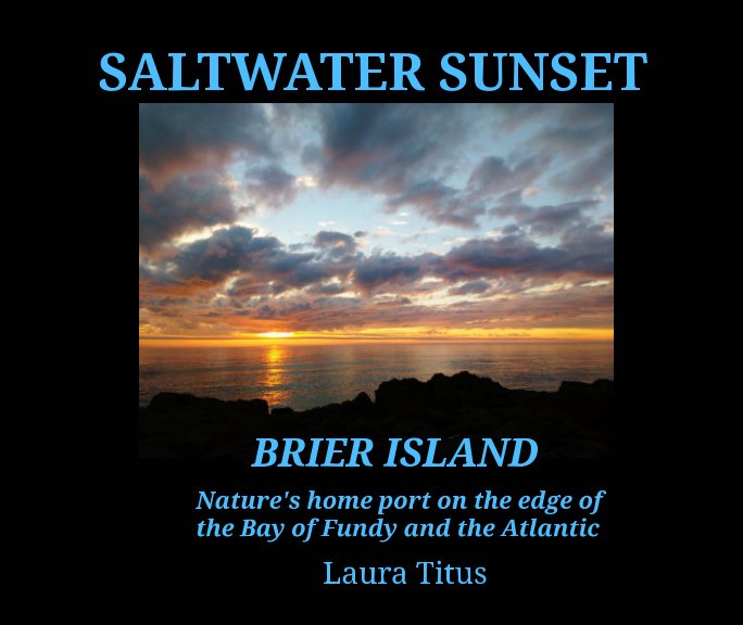 View Saltwater Sunset by Laura Titus
