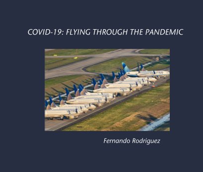 Flying thru the Pandemic book cover
