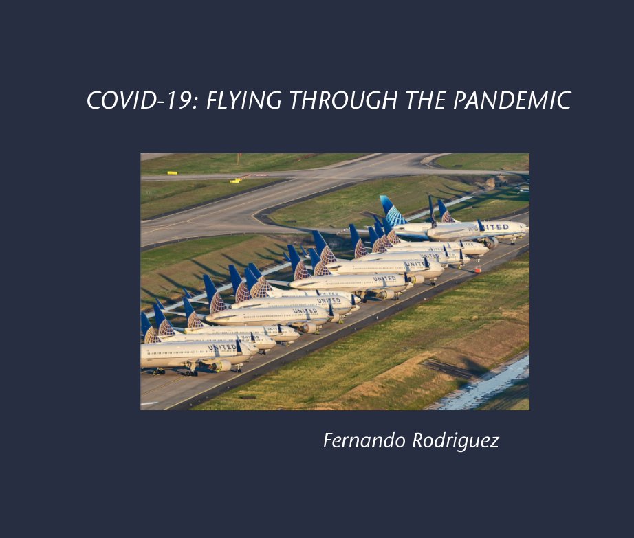View Flying thru the Pandemic by Fernando Rodriguez