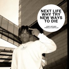 Next Life Why Try New Ways to Die book cover