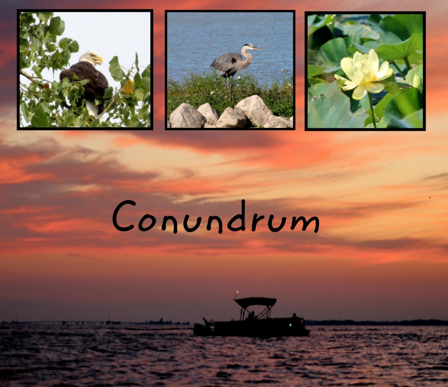 View Conundrum by Becky Grissinger