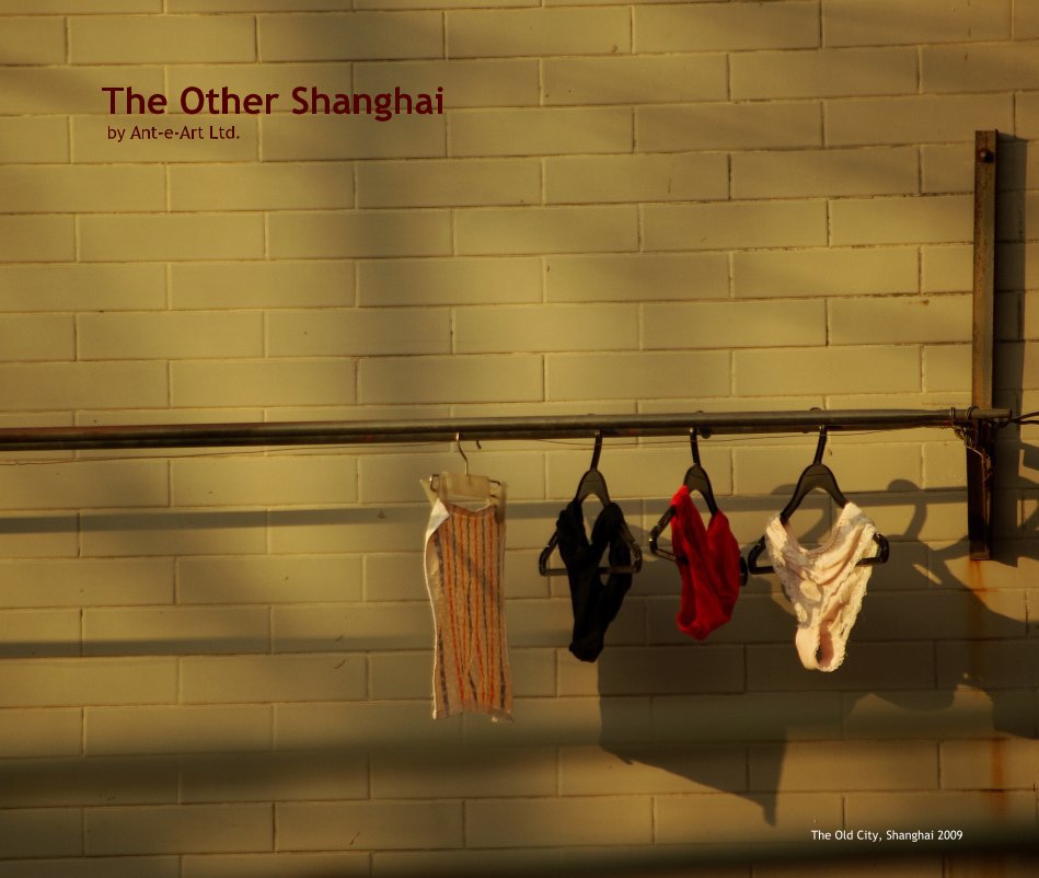 View The Other Shanghai by Ant-e-Art Ltd. by The Old City, Shanghai 2009