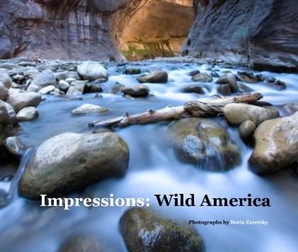 Impressions: Wild America book cover