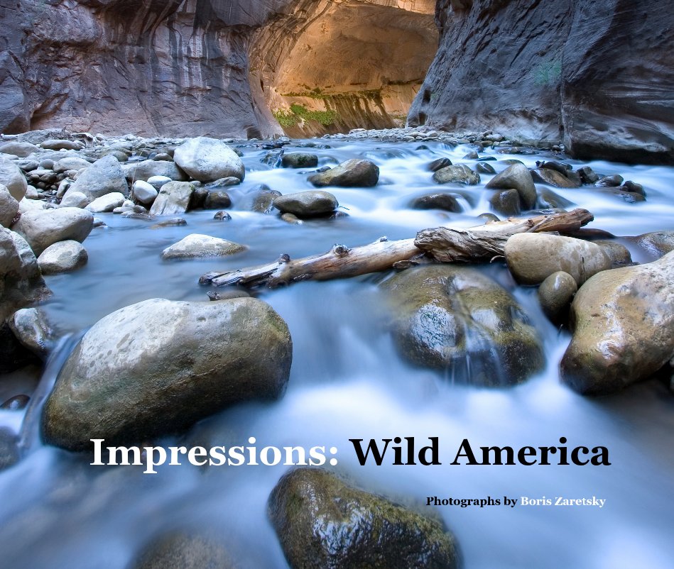 View Impressions: Wild America by Boris Zaretsky