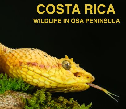 Costa Rica Wildlife book cover