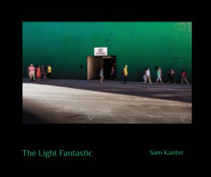 The Light Fantastic book cover