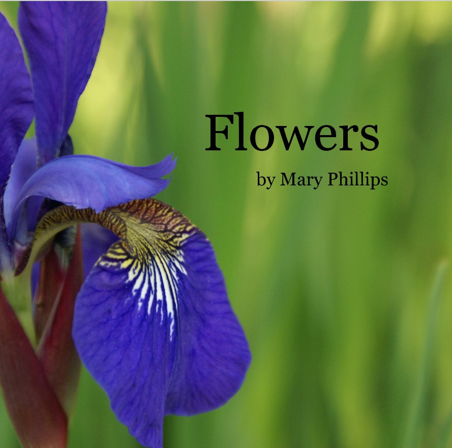 View Flowers by Mary Phillips